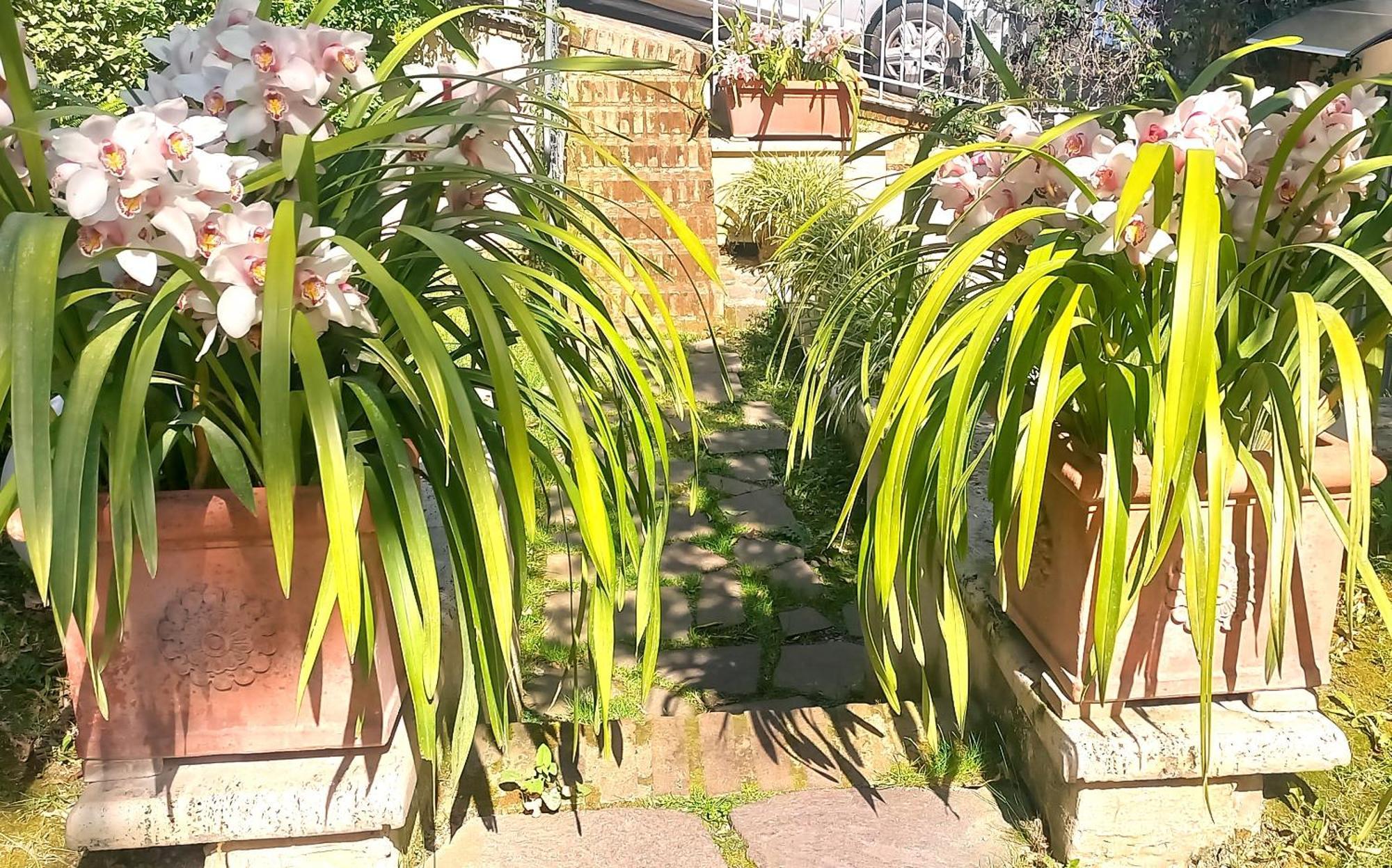 Villa Michelangelo Deluxe — Foto 3